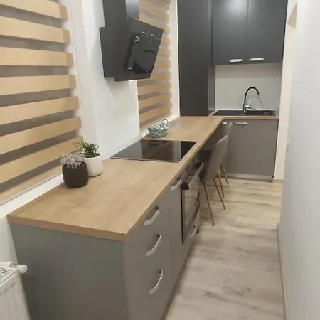 Popasu Din Oras Apartment Baia Mare Exterior photo