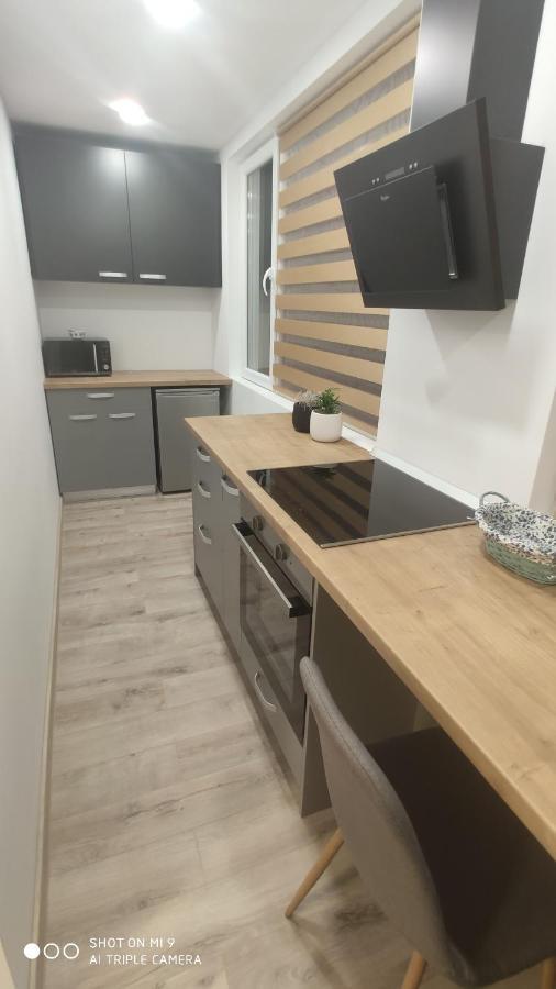 Apartment Popasu Din Oras *