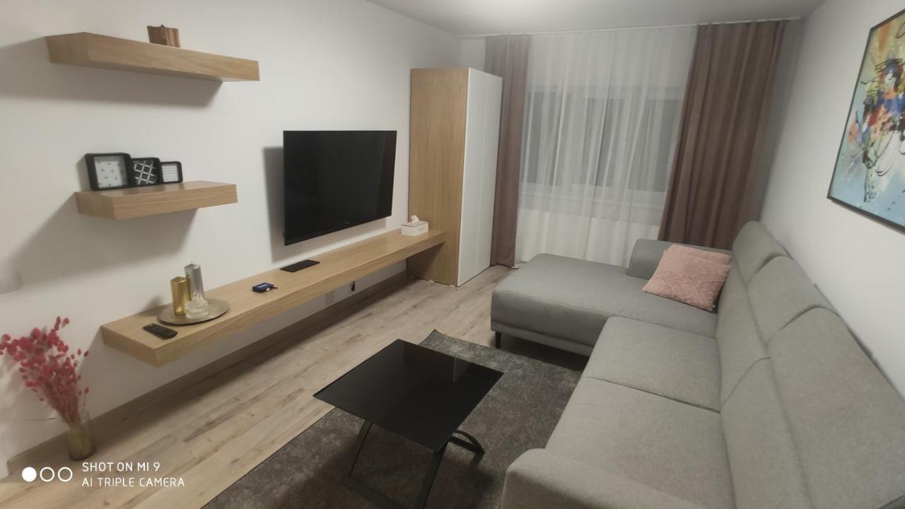 Popasu Din Oras Apartment
